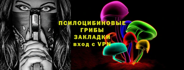 крисы Сатка
