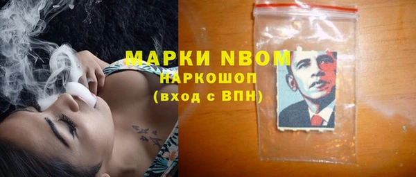 крисы Сатка