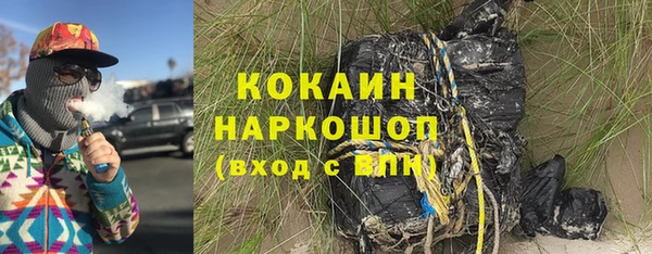 крисы Сатка