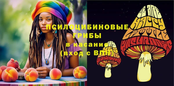 крисы Сатка
